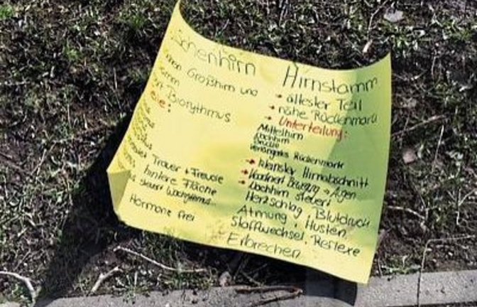 „Herr wirf Hirn ’ra!“, schreibt unsere Leserin Christel Henkelmann aus Kleinglattbach zu ihrem Foto, das bei einer Bushaltestelle nahe einer Schule entstanden ist. „Heute war wohl das Thema ,Hirn’ im Unterricht dran. Leider hat es mit der Transferleistung