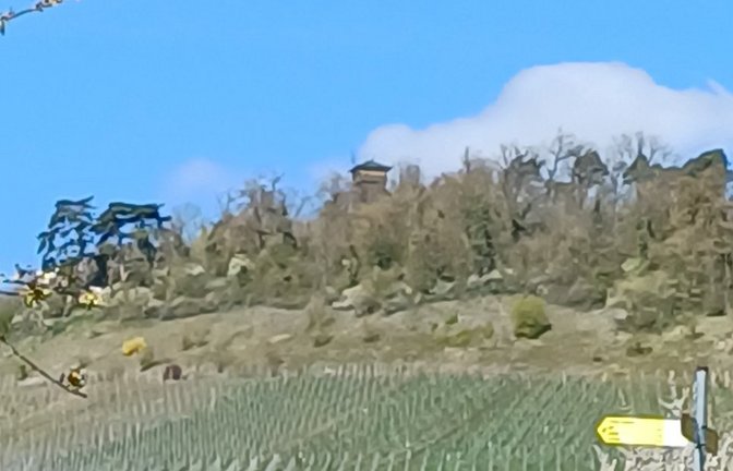 Wanderziel hoch über Ensingen: der Eselsbergturm.  <span class='image-autor'>Foto: Rücker</span>