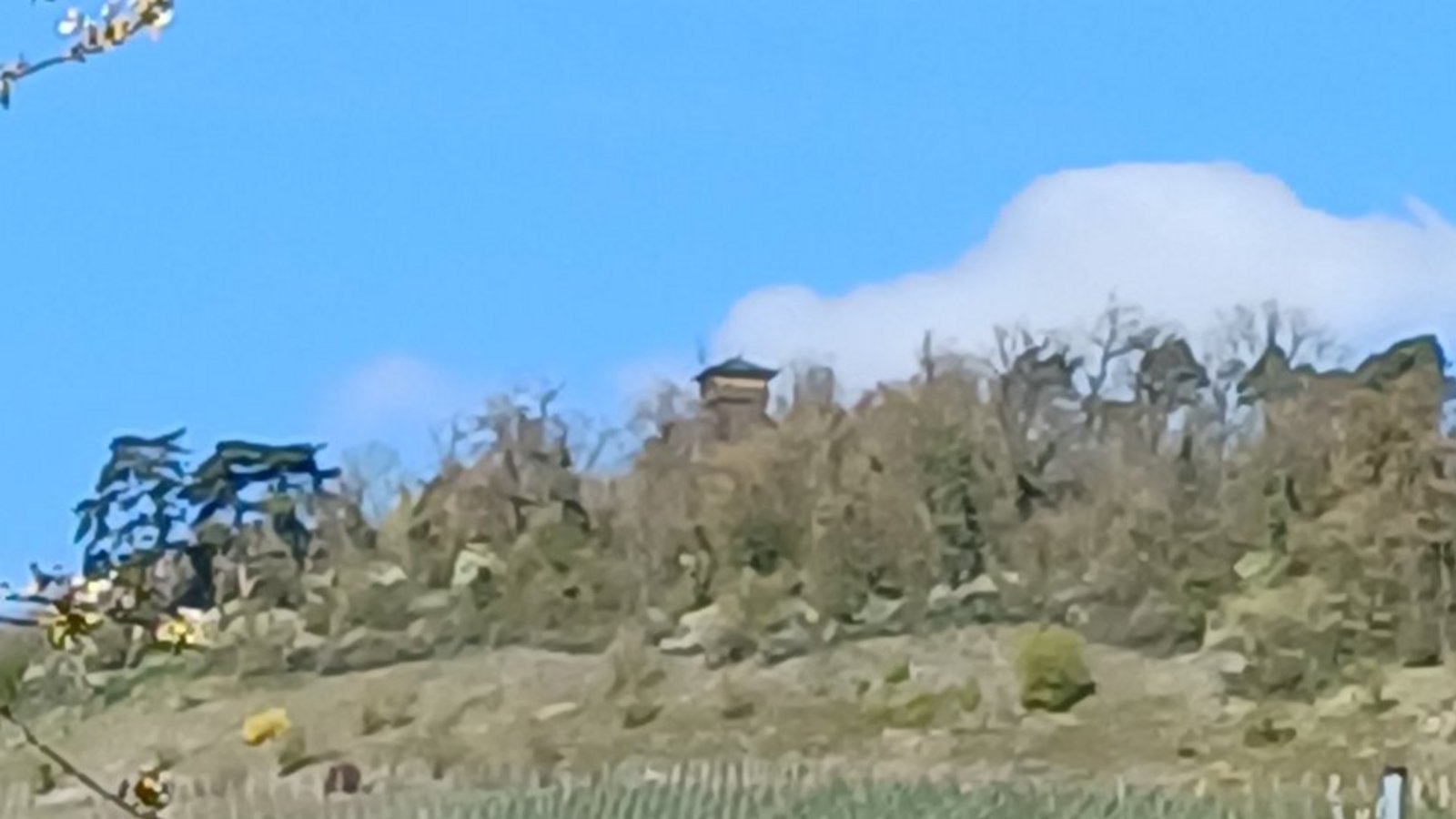 Wanderziel hoch über Ensingen: der Eselsbergturm. Foto: Rücker Wanderziel hoch über Ensingen: der Eselsbergturm. Foto: Rücker