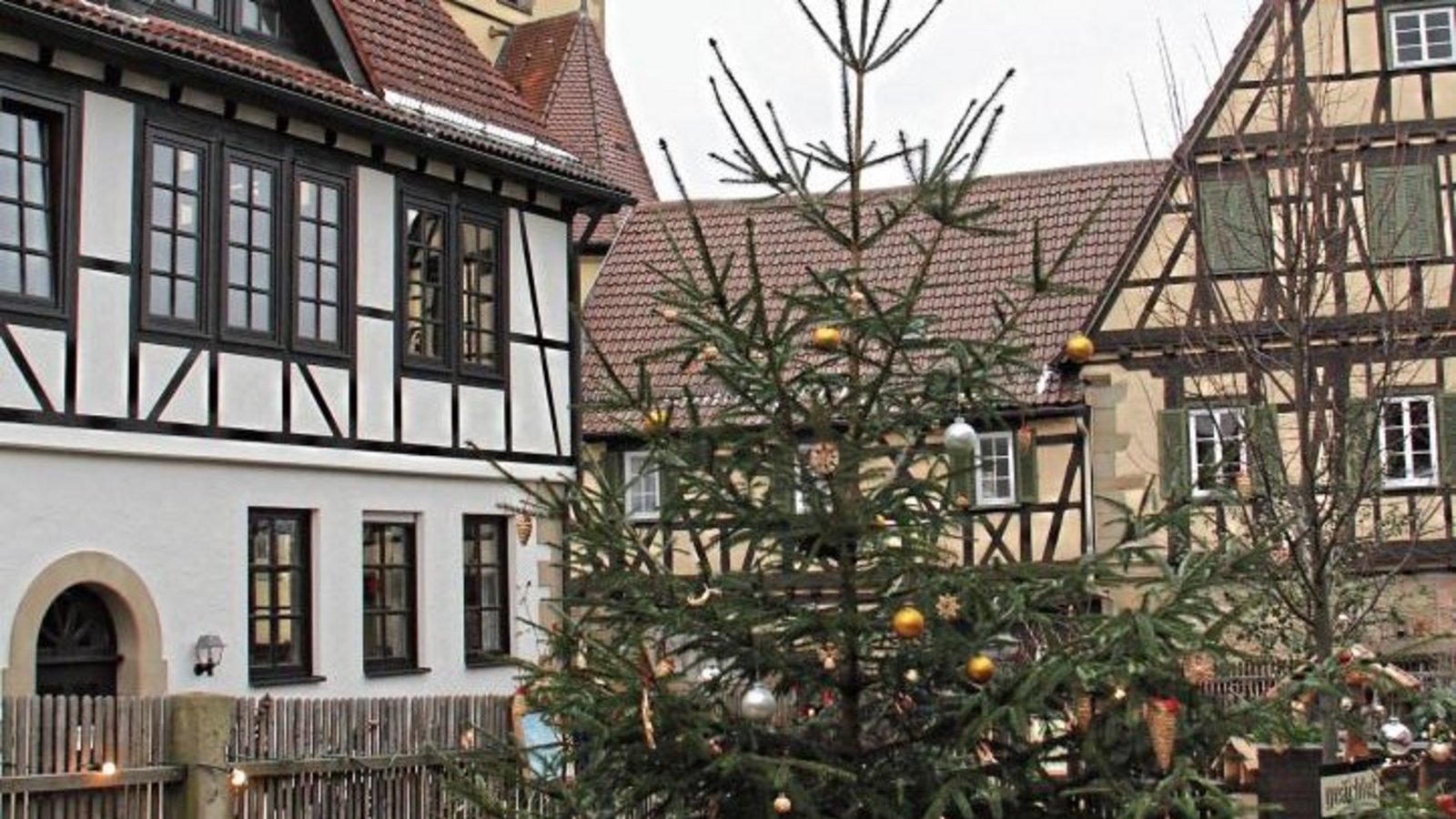 Der Adventsgarten in Sachsenheim ist täglich von 8 bis 20 Uhr geöffnet.  Fotos: Rostek