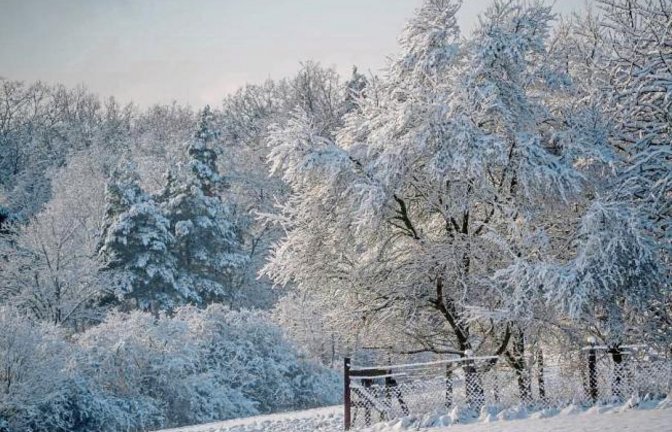 Den Wald im Winterkleid hat der Eberdinger Berthold Mede fotografiert.