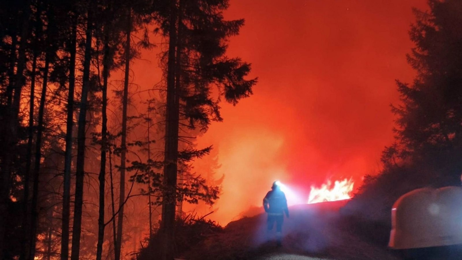 In Österreich steht eine Fläche von 110 Hektar in Flammen.Foto: Unbekannt/FF LIESING/dpa