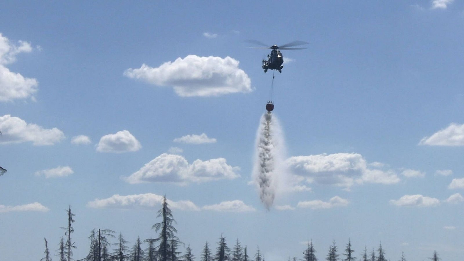 Waldbrände, wie hier im Harz, werden zunehmen.Foto: Imago/Bernd März Waldbrände, wie hier im Harz, werden zunehmen.Foto: Imago/Bernd März