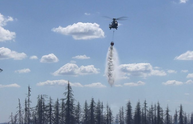 Waldbrände, wie hier im Harz, werden zunehmen.<span class='image-autor'>Foto: Imago/Bernd März</span>