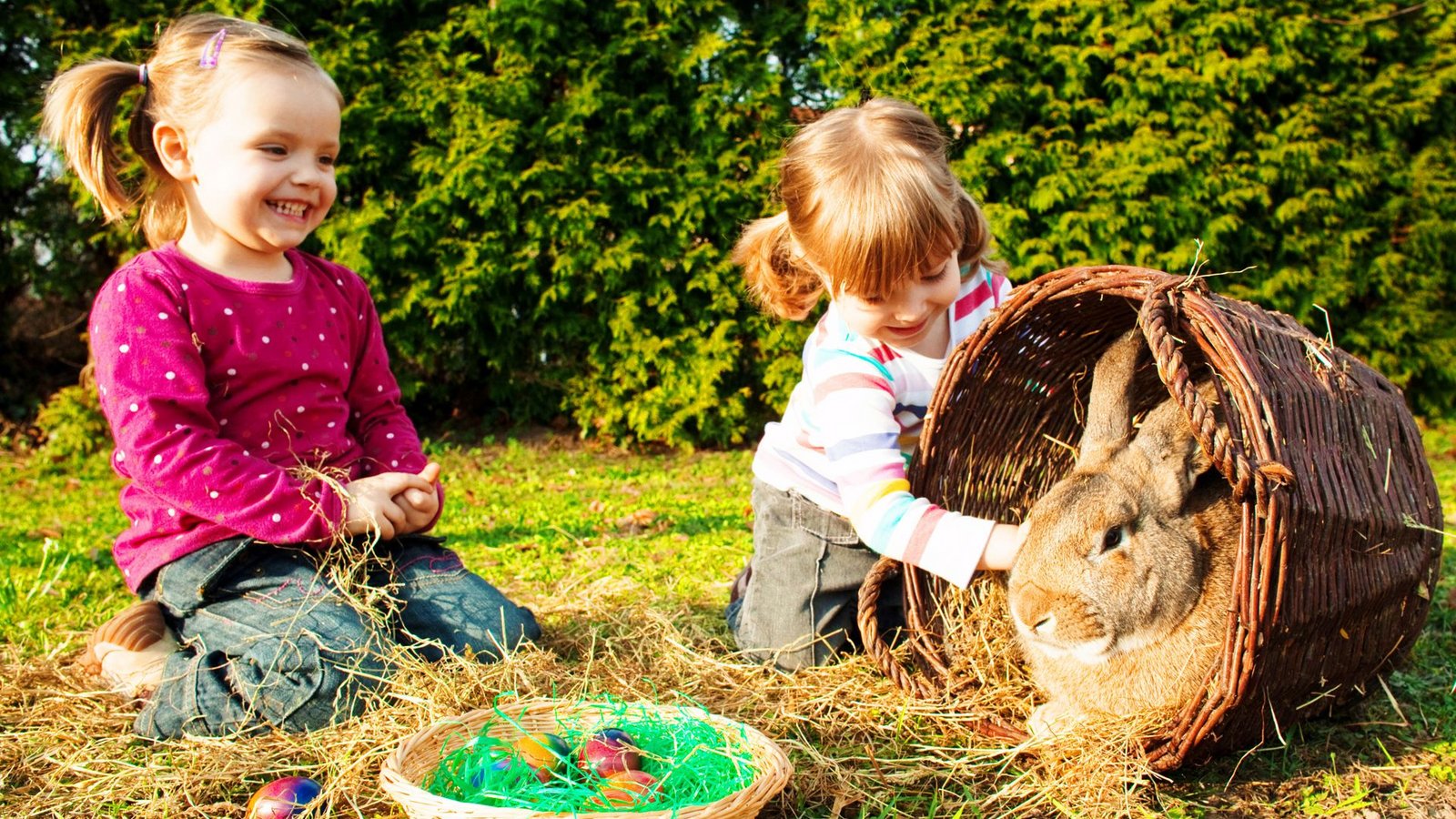Nicht nur zum Streicheln da: Viele Kaninchen und Hasen kommen an Ostern auf den Tisch.Foto: dpa/Patrick Pleul
