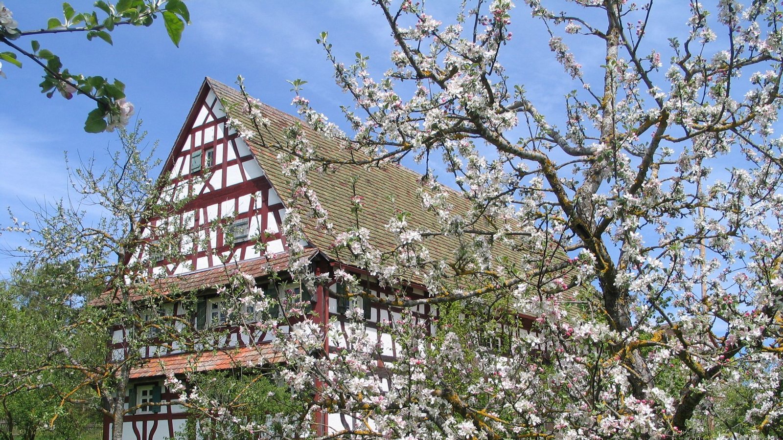 Für den Fantasy-Film „Krabat“ wurde unter anderem im Freilichtmuseum Neuhausen ob Eck (Landkreis Tuttlingen) gedreht.Foto: FLM Neuhausen ob Eck/Karl-Heinz Reizner Für den Fantasy-Film „Krabat“ wurde unter anderem im Freilichtmuseum Neuhausen ob Eck (Landkreis Tuttlingen) gedreht.Foto: FLM Neuhausen ob Eck/Karl-Heinz Reizner