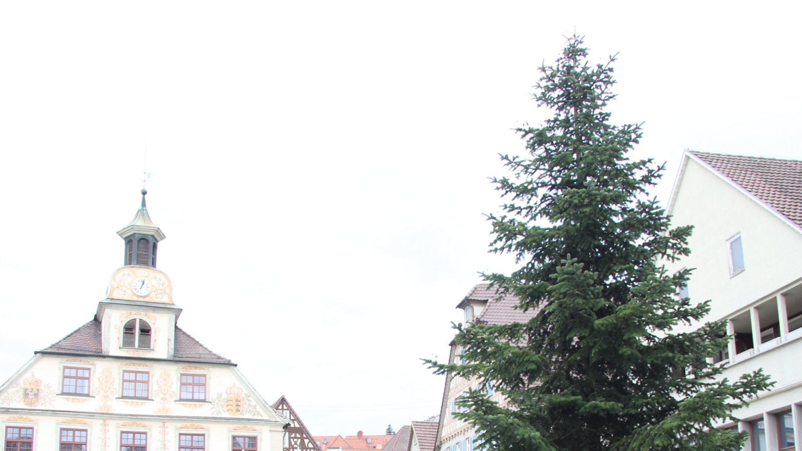 Seit gestern ist er da: der Weihnachtsbaum auf dem Vaihinger Marktplatz. In diesem Jahr handelt es sich um eine Nordmanntanne, die erst am selben Morgen auf einem Privatgrundstück in Illingen geschlagen wurde. Foto: Banholzer