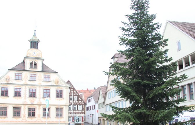 Seit gestern ist er da: der Weihnachtsbaum auf dem Vaihinger Marktplatz. In diesem Jahr handelt es sich um eine Nordmanntanne, die erst am selben Morgen auf einem Privatgrundstück in Illingen geschlagen wurde. <span class='image-autor'>Foto: Banholzer</span>