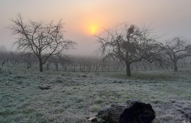 Nebelmorgen bei Gündelbach. Aufgenommen von unserem Leser Tillmann Nieß. 