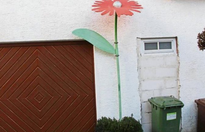 Riesenblumen gedeihen offenbar in Roßwag besonders gut.  Foto: Banholzer