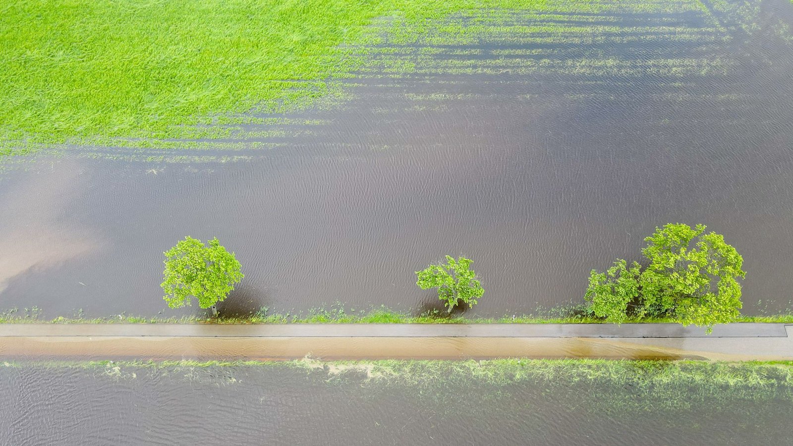 Land unter heißt es auch bei der Landwirtschaft.Foto: dpa/Marius Bulling