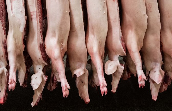 Geklagt hatte ein Unternehmen, dass sich auf die Zerlegung von Schweineköpfen spezialisiert. (Archivbild)<span class='image-autor'>Foto: Mohssen Assanimoghaddam/dpa</span>