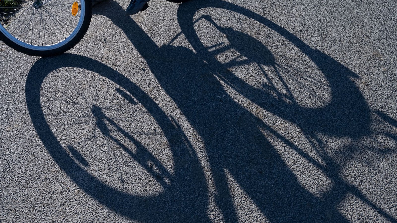 Das Radwegenetz in Baden-Württemberg soll massiv wachsen.Foto: dpa/Stefan Sauer