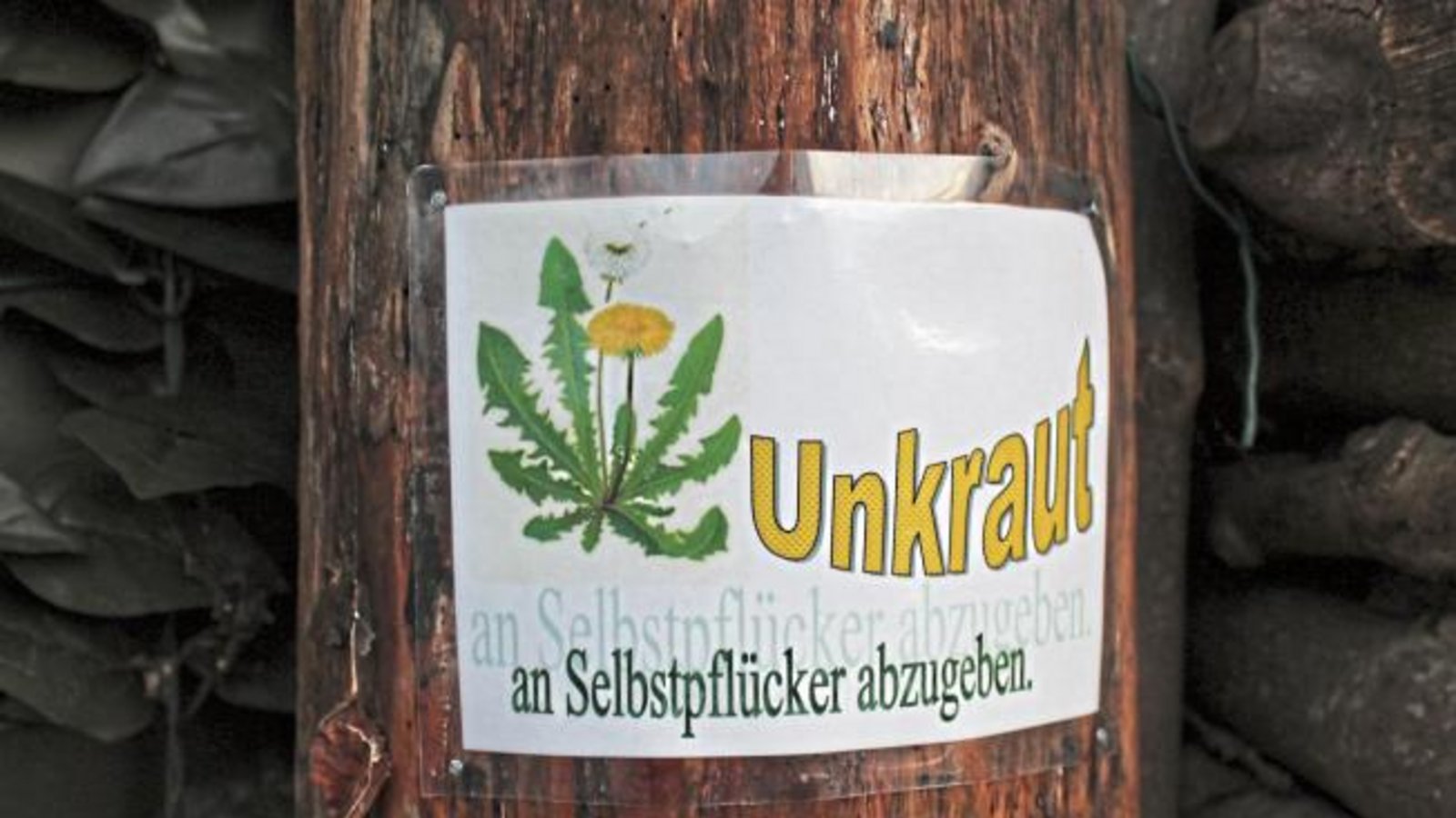 Leider etwas zu spät für die Glyphosatdebatte erreicht uns dieses Bild. Fotografiert von Philipp Pfisterer in Enzweihingen. Leider etwas zu spät für die Glyphosatdebatte erreicht uns dieses Bild. Fotografiert von Philipp Pfisterer in Enzweihingen.