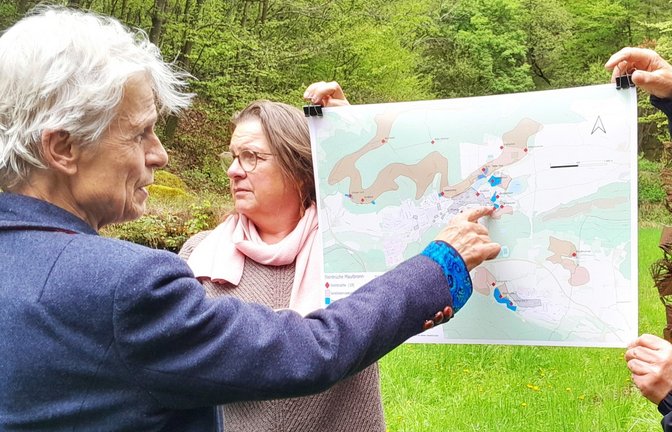 Zu den Maulbronner Steinbrüchen gehörten auch die in Knittlingen und Schmie, das obere braune Band markiert abbaufähiges Gestein, wie Sibylle Burrer (links) hier zeigt.  <span class='image-autor'>Foto: Filitz</span>