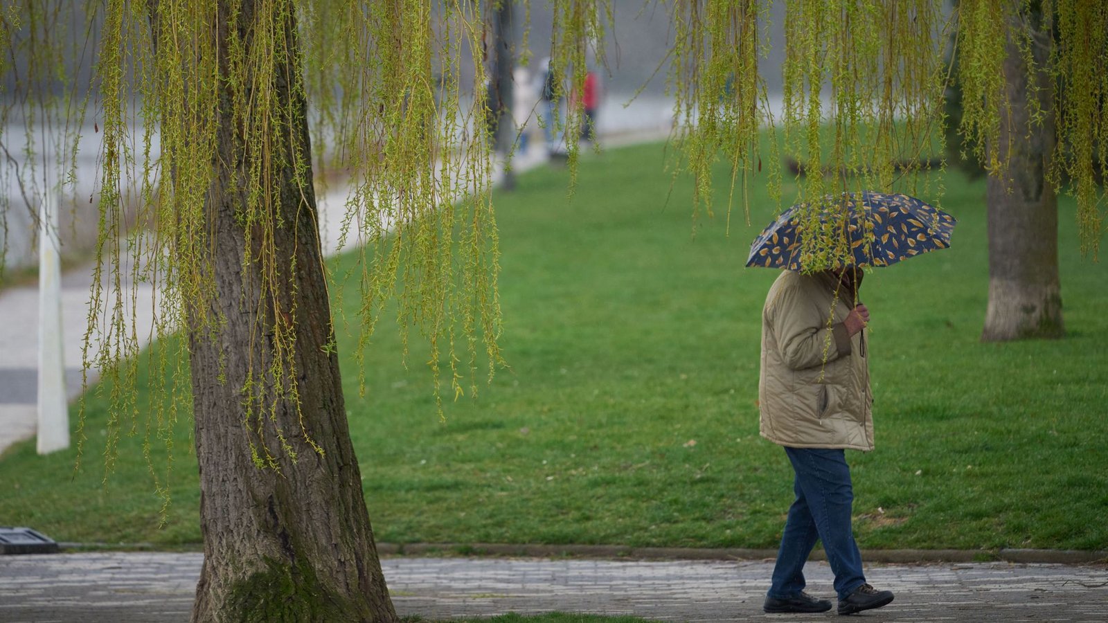 Die Woche startet regnerisch (Symbolbild).Foto: Thomas Frey/dpa