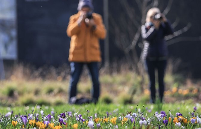Der Frühling hält Einzug in Deutschland.<span class='image-autor'>Foto: Oliver Berg/dpa</span>