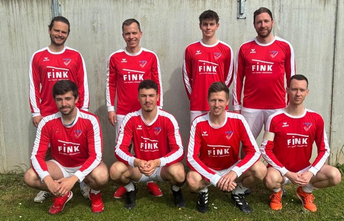Lars Thormeyer (hinten von links), Alexander Perleß, Lukas Bengsch, Felix Schindler, Luca Modenese (vorne von links), Janis Keller, Jan Bontrup, Pirmin Neuberger haben sich mit dem TV Vaihingen II die Meisterschaft in der Schwabenliga gesichert. <span class='image-autor'>Foto: privat</span>