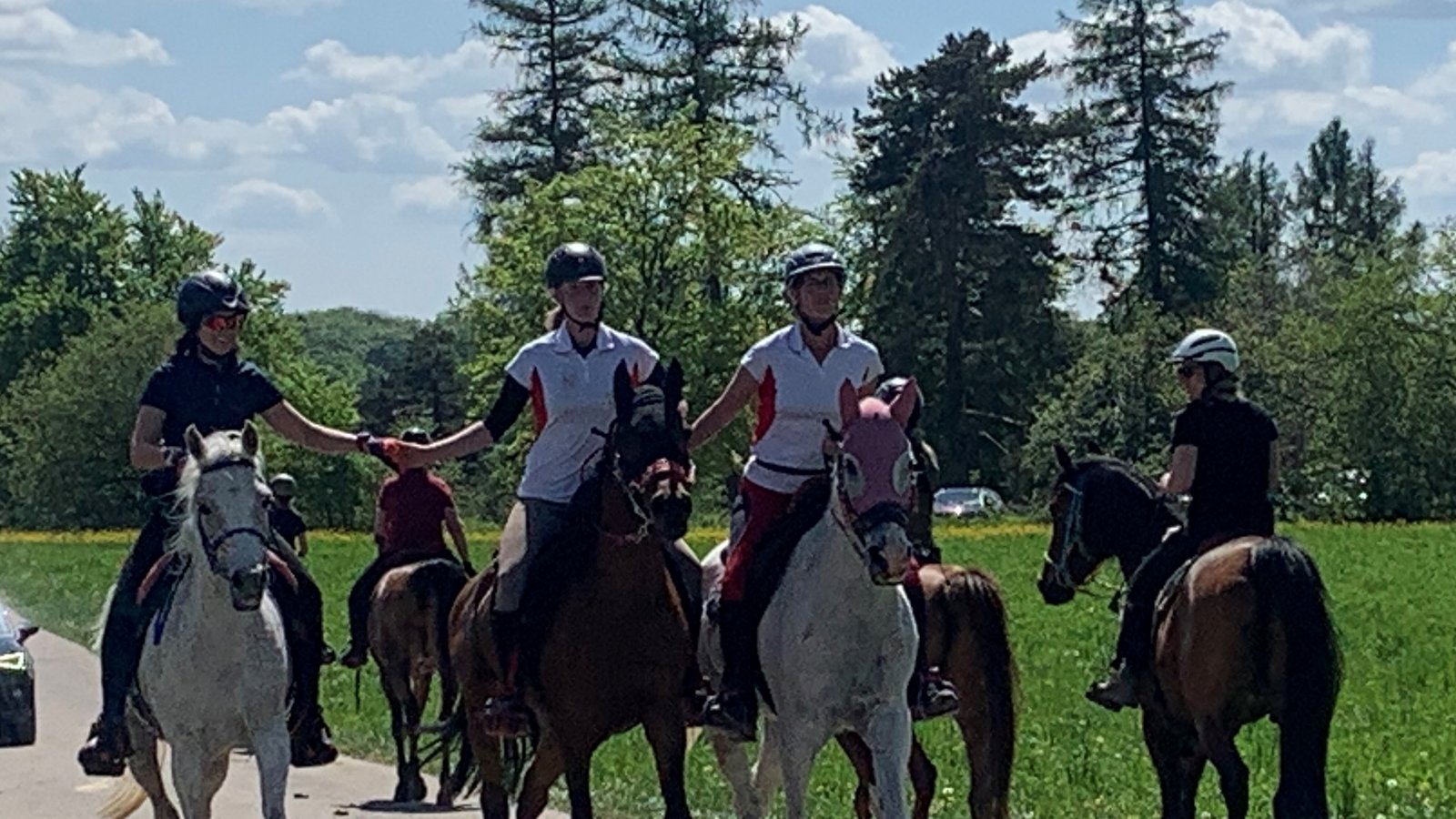 77 Distanzreiter waren am vergangenen Wochenende auf den verschiedenen Strecken (40, 41, 66 und 82 Kilometer) der 19. Hohenzollern Distanz am Start. Ina Baader und ihr Team haben wie immer eine gut organisierte Veranstaltung auf die Beine gestellt. Das weitläufige Gelände rund um das Wanderheim Nägelehaus, wunderschön überhalb von Onstmettingen (Albstadt) gelegen, bietet optimale Voraussetzungen für die Veranstaltung eines Distanzrittes. Sina Röhm hatte für sich und den sechsjährigen Vollblutaraber Wallach Barysch AS die 41-Kilometer-Strecke als Saisoneinstieg und Formüberprüfung gewählt. Begleitet wurden Sina Röhm und Barysch von Maren Röhm auf dem mittlerweile 22-jährigen Whiskey 41. Durch die Lage auf der Schwäbischen Alb sind auf dem Ritt viele Höhenmeter angesagt. So galt es auf den 41 Kilometern, knapp 1000 Höhenmeter zu bewältigen. Geritten wurde bei den 41 Kilometern eine große Schleife, unterbrochen von einer Pulskontrolle mit Vortraben bei Kilometer zwölf, sowie einer 45-minütigen Pause mit Tierarztkontrolle bei Kilometer 26. Barysch und Whiskey zeigten sich von Anfang an in guter Form und absolvierten einen soliden Ritt. Die Tierärzte waren sehr zufrieden mit den beiden, es gab keinerlei Beanstandungen, alle Parameter waren bestens. In einer Reitzeit von 3:15 Stunden belegten Sina Röhm mit Barysch und Maren Röhm mit Whiskey 41 den elften Platz unter 39 Startern auf ihrer Strecke. Damit sind die Reiterinnen sehr zufrieden. Barysch lieferte in seinem dritten Ritt eine tolle Leistung ab.