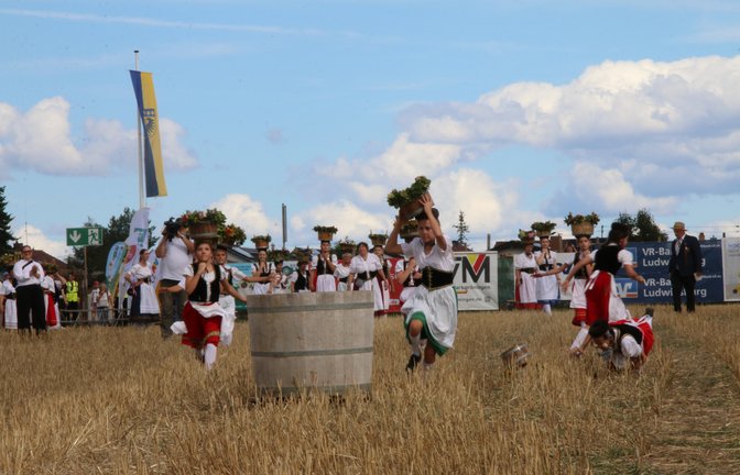 So war der Markgröninger Schäferlauf 2026. Foto: Mross