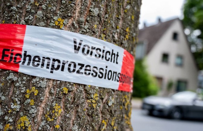 Auch in Leonberg wurden vom Eichenprozessionsspinner befallene Bereiche abgesperrt und die Nester schnellstmöglich entfernt (Symbolbild).<span class='image-autor'>Hauke-Christian Dittrich/dpa</span>