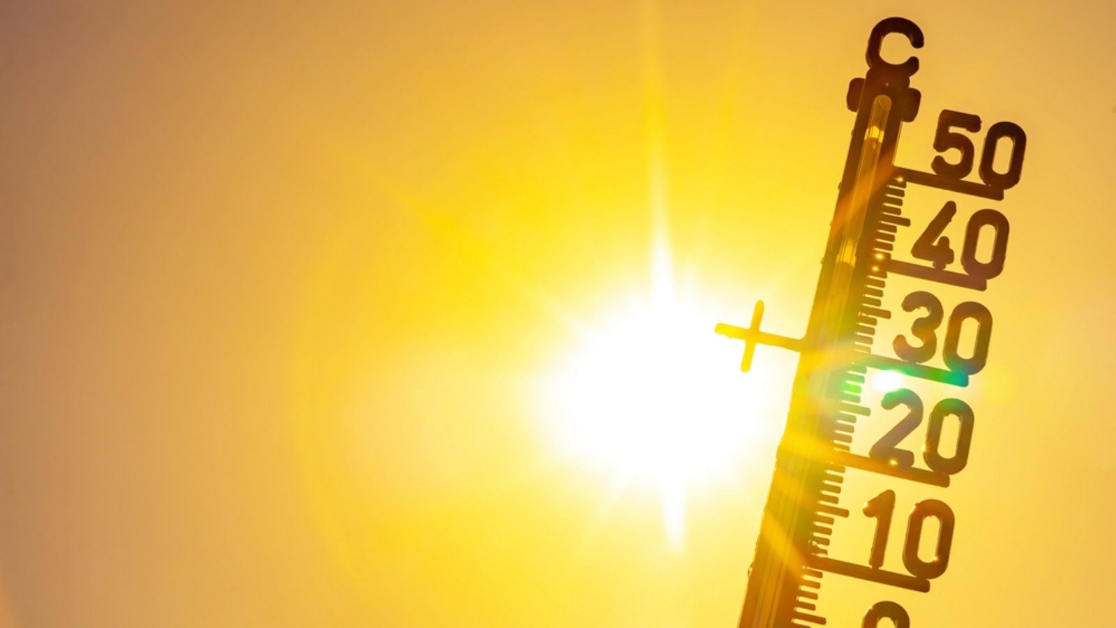Eine neue Hitzewelle kündigt sich ab dem 18. Juli 2025 an, mit Temperaturen über 35 Grad und anhaltender Trockenheit.Foto: Corri Seizinger / Shutterstock.com Eine neue Hitzewelle kündigt sich ab dem 18. Juli 2025 an, mit Temperaturen über 35 Grad und anhaltender Trockenheit.Foto: Corri Seizinger / Shutterstock.com