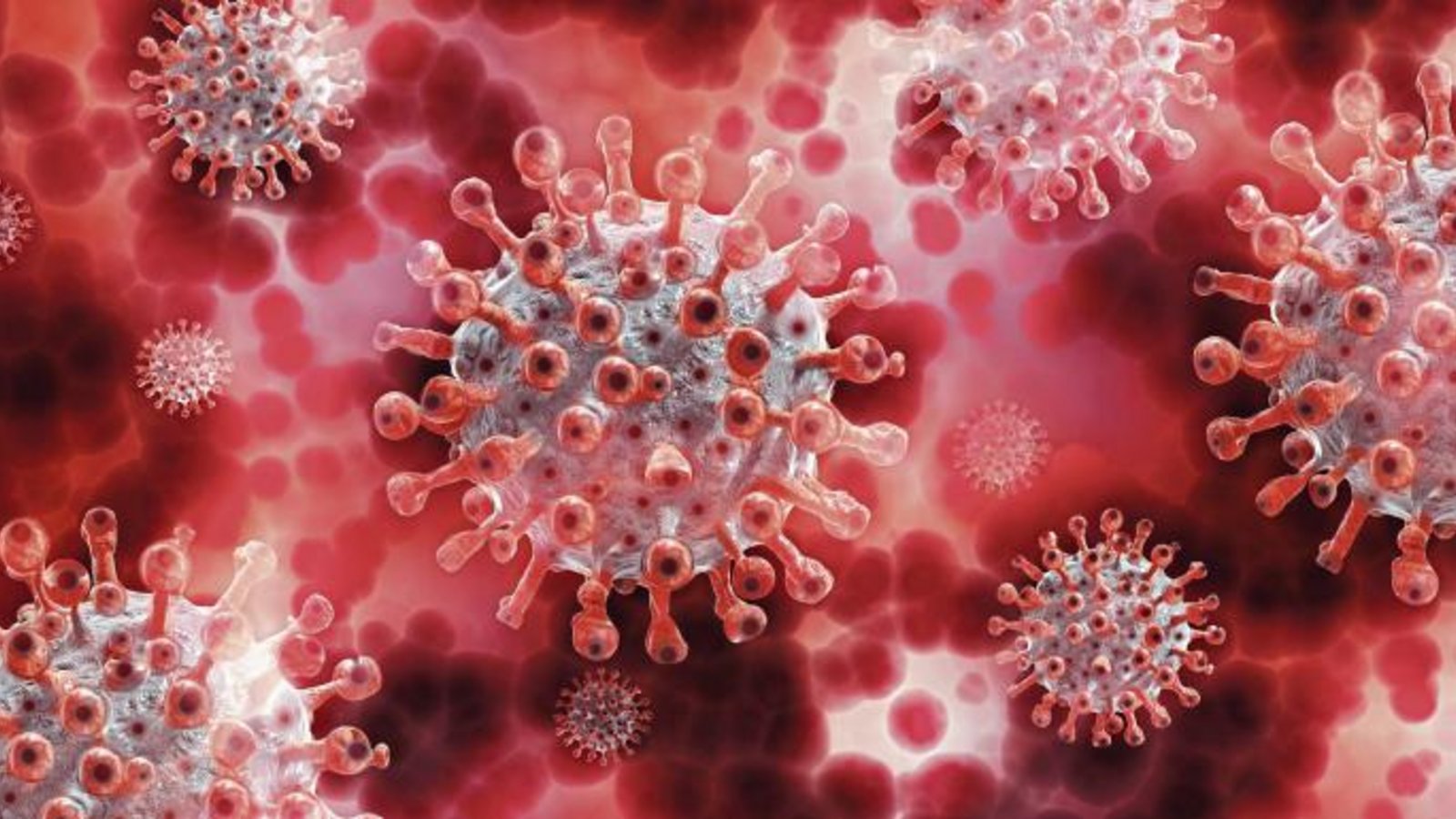Das Coronavirus beeinflusst den Sport in Baden-Württemberg auch in diesem Herbst. Foto: ddp