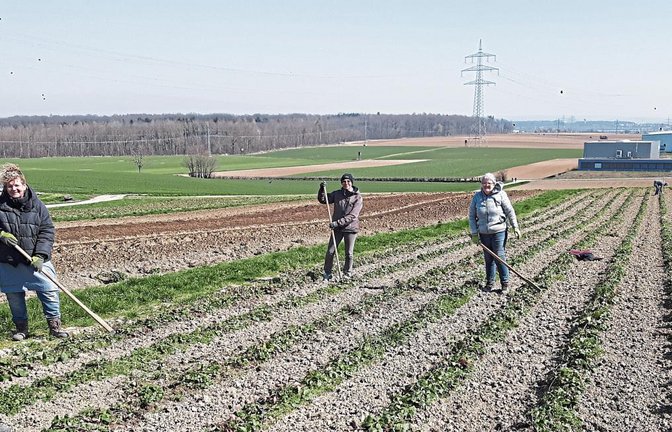 Mit so viel Unterstützung haben die Seemanns nicht gerechnet. Rund 60 Leute meldeten sich auf ihren Facebook-Aufruf zum Unkrauthacken. 15 Helfer kommen nun zum Einsatz.  Foto: p