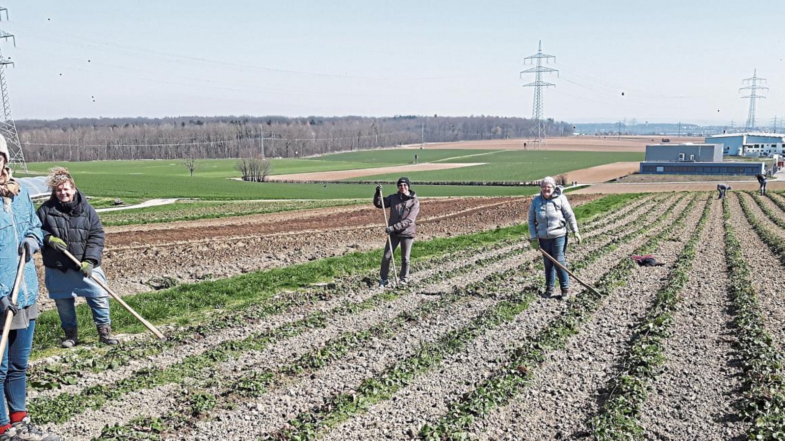 Mit so viel Unterstützung haben die Seemanns nicht gerechnet. Rund 60 Leute meldeten sich auf ihren Facebook-Aufruf zum Unkrauthacken. 15 Helfer kommen nun zum Einsatz.  Foto: p