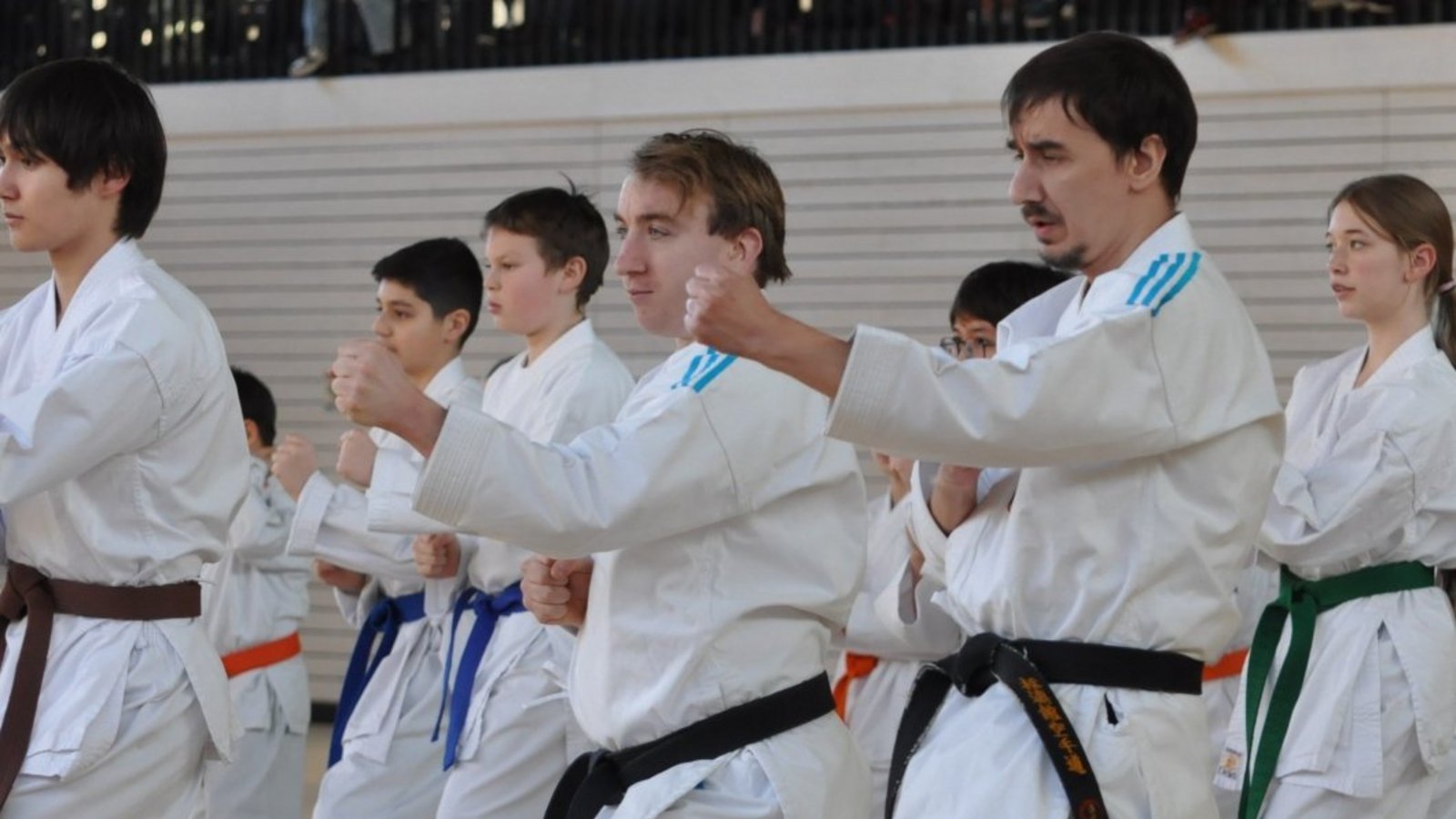 Präzision: die Karatekas mit Michael Lesic (rechts) und Albert Singer (links daneben). Foto: p Präzision: die Karatekas mit Michael Lesic (rechts) und Albert Singer (links daneben). Foto: p