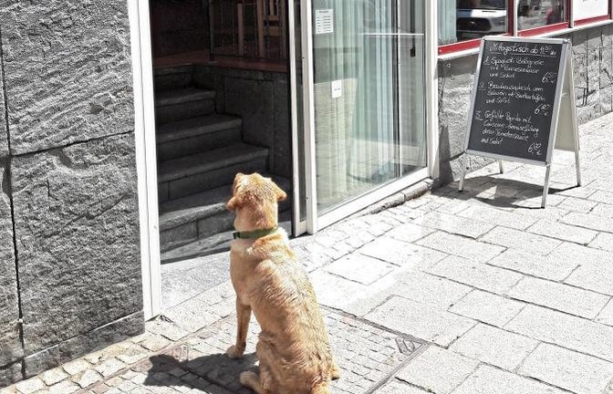 Gaaanz brav wartet Hündin Djinni vor dem Vaihinger Metzgersladen. Klar, nachher gibt’s ein Schweineöhrchen zur Belohnung.  Foto: Rücker