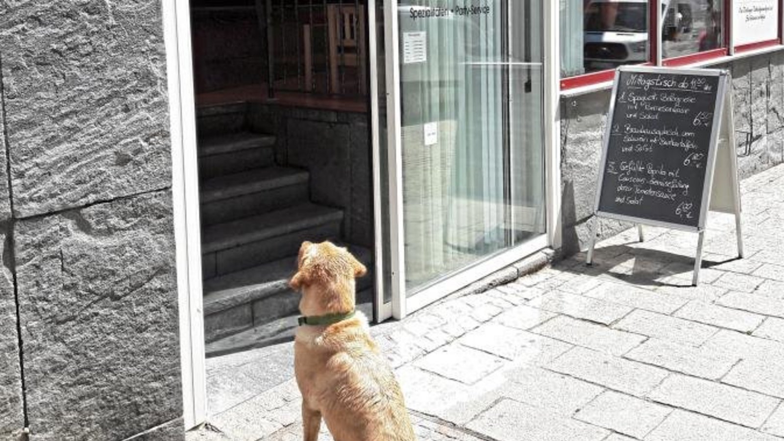 Gaaanz brav wartet Hündin Djinni vor dem Vaihinger Metzgersladen. Klar, nachher gibt’s ein Schweineöhrchen zur Belohnung.  Foto: Rücker
