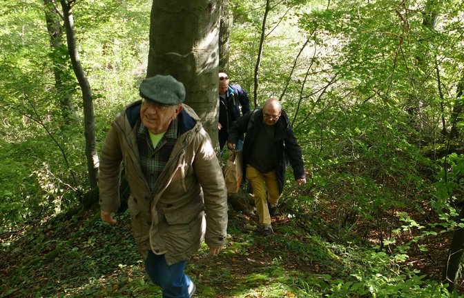 Bei einer Exkursion machen sich die Teilnehmer der Tagung auf die Suche nach den Überresten des Landgrabens.  <span class='image-autor'>Fotos: Weimper</span>