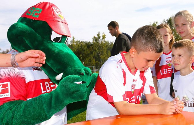 Heiß begehrt: Autogramme von VfB-Maskottchen Fritzle. Foto: Küppers