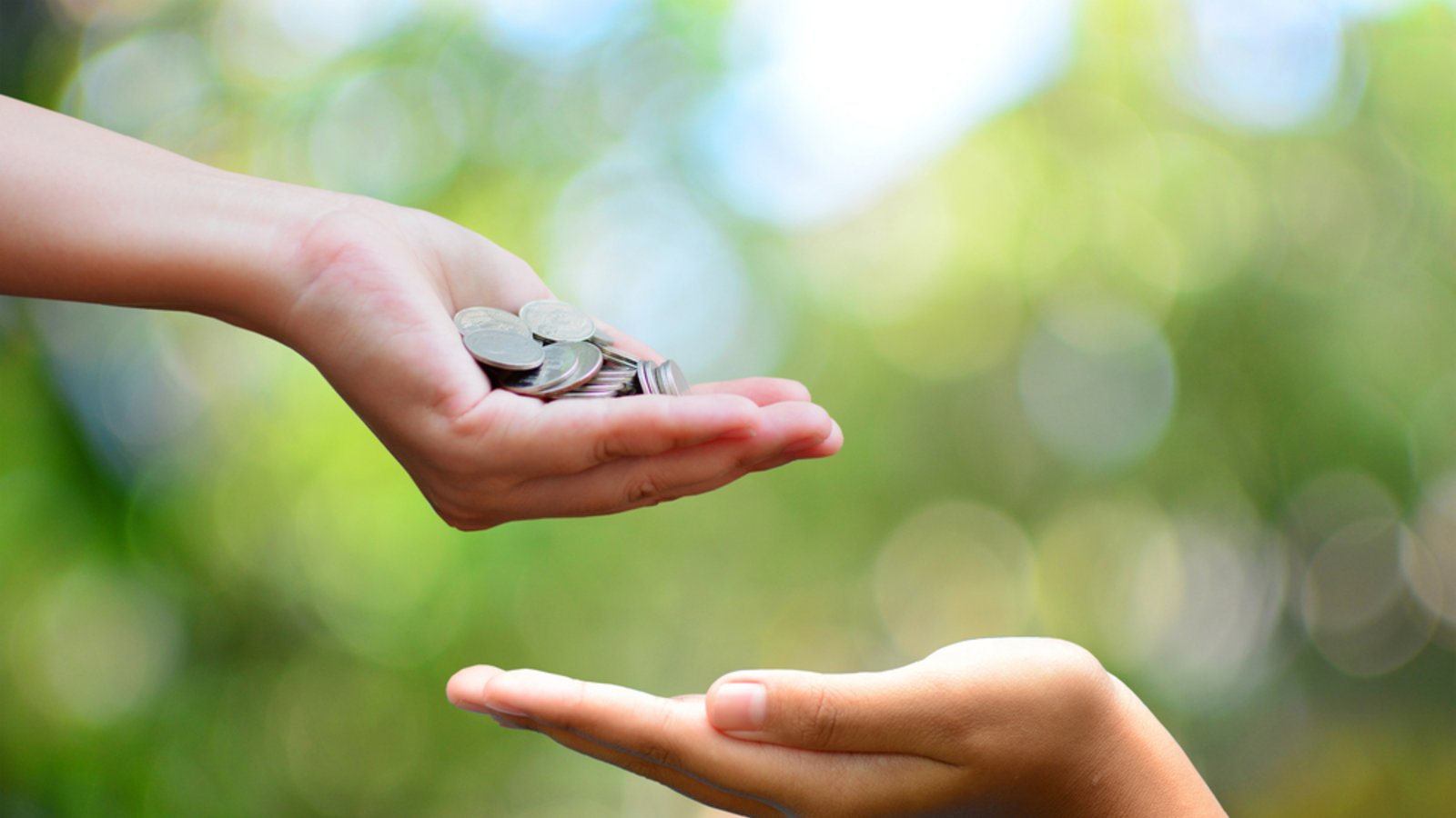 Foto: ITTIGallery / shutterstock.com Foto: ITTIGallery / shutterstock.com