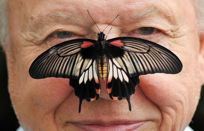Zu seinem 100. Geburtstag erhielt David Attenborough einen persönlichen Brief von König Charles. (Archivfoto)<span class='image-autor'>Foto: John Stillwell/PA Wire/dpa</span>