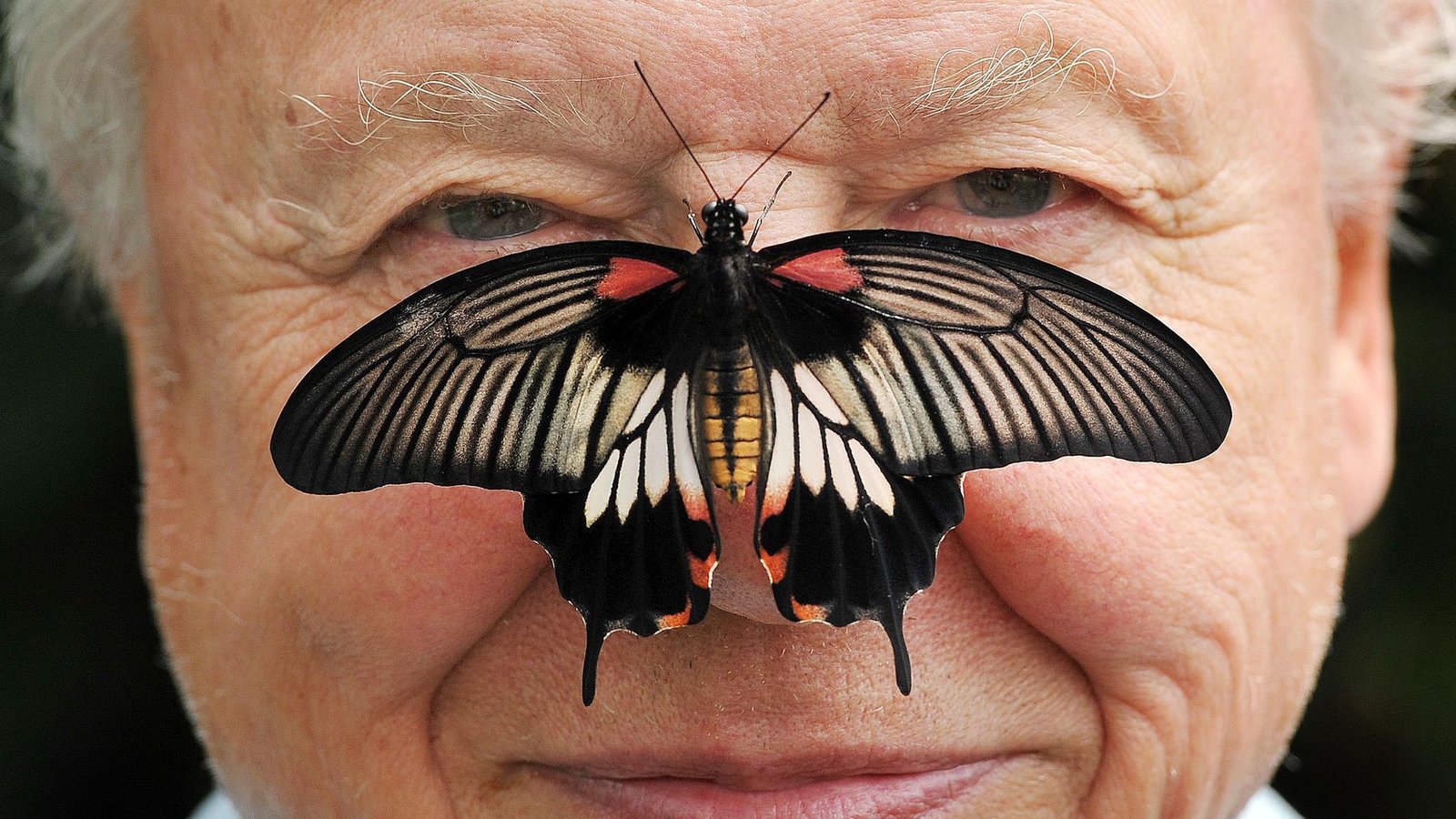 Zu seinem 100. Geburtstag erhielt David Attenborough einen persönlichen Brief von König Charles. (Archivfoto)Foto: John Stillwell/PA Wire/dpa