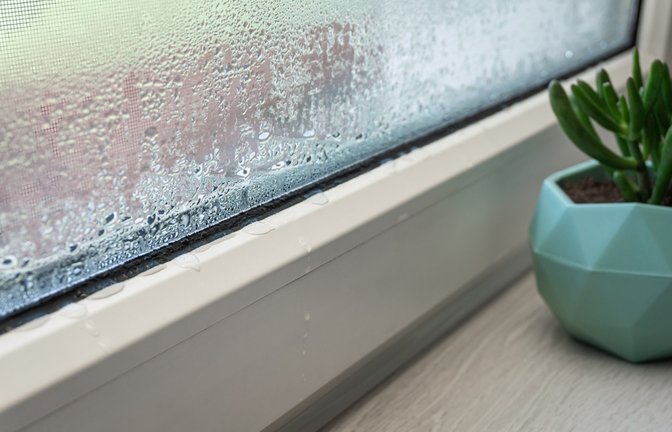 Erfahren Sie, was es für Gründe haben kann, wenn Ihre Fenster trotz Heizen und Lüften nass sind. Jetzt weiterlesen!<span class='image-autor'>Foto: Salarko / Shutterstock.com</span>