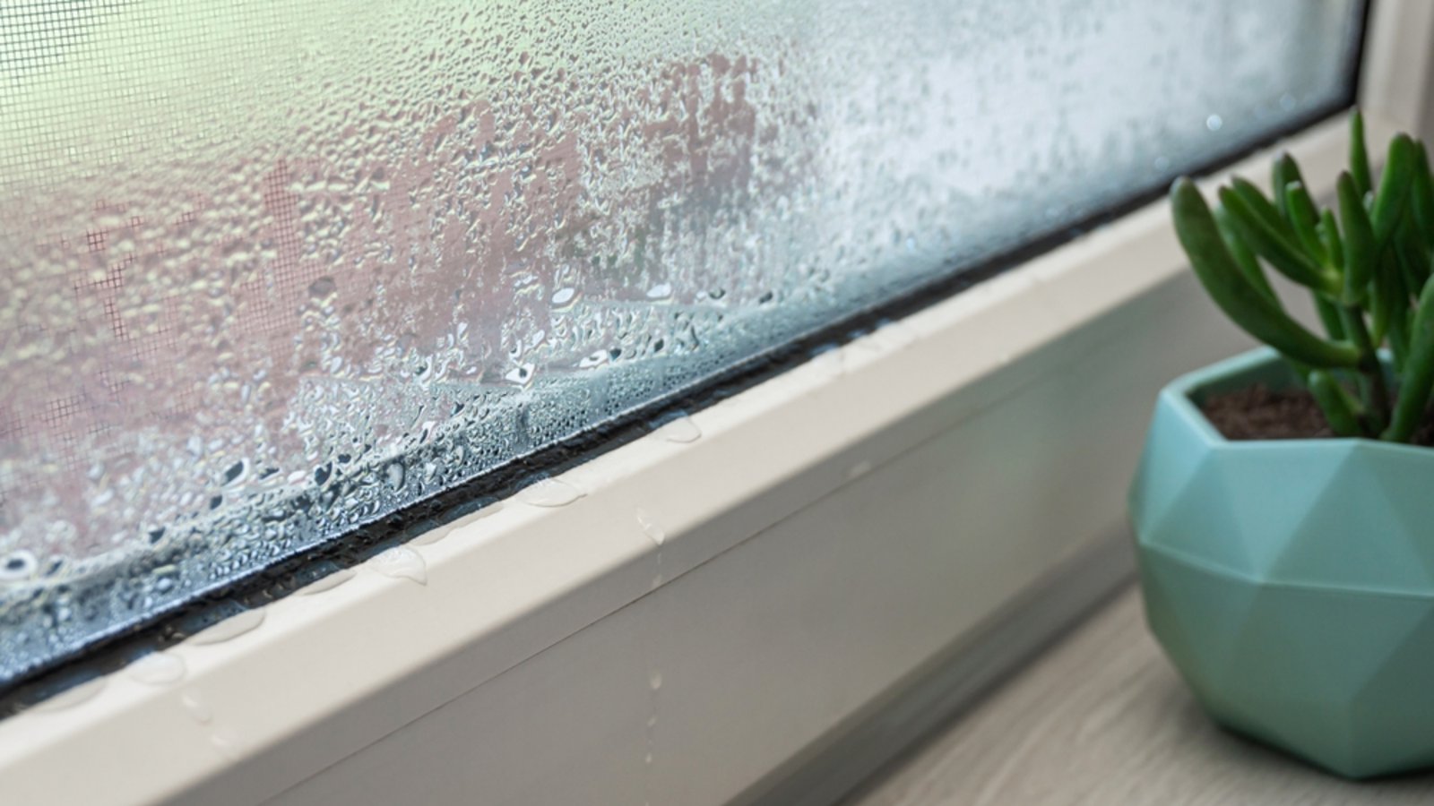 Trotz Lãƒâ¼ften Und Heizen Nasse Fenster