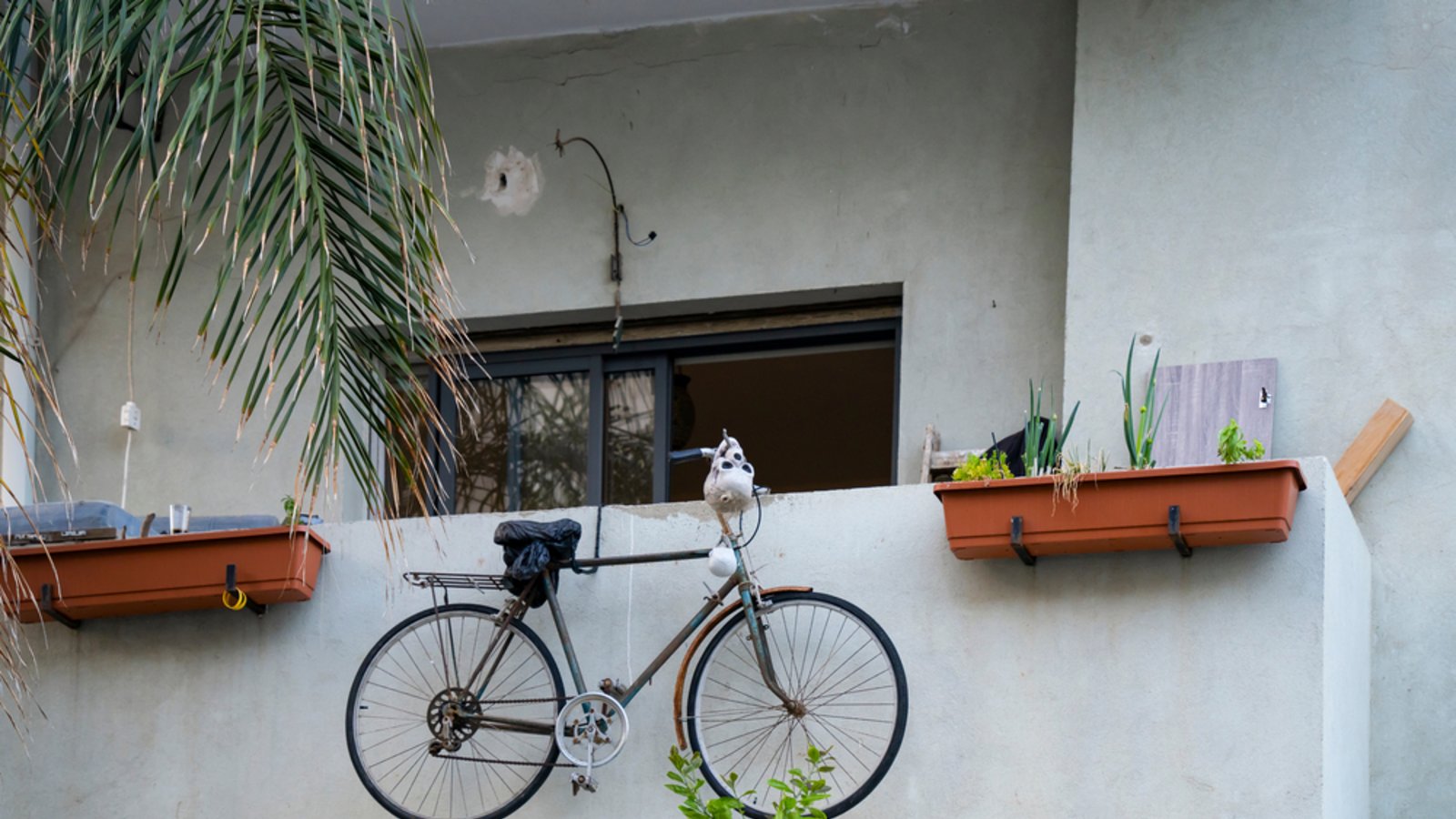Mit diesen Tipps glänzt auch die Außenseite wieder.Foto: Moshe EINHORN / shutterstock.com Mit diesen Tipps glänzt auch die Außenseite wieder.Foto: Moshe EINHORN / shutterstock.com