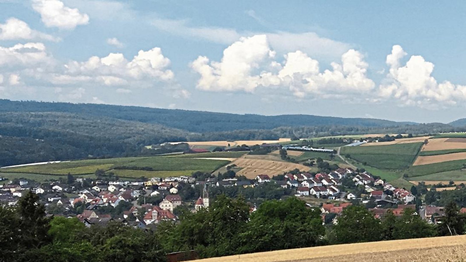 Ländliche Idylle? Die Begründer des Arbeitskreises Biodiversität sehen das ökologische Gleichgewicht auch in Eberdingen in Gefahr.  Foto: p