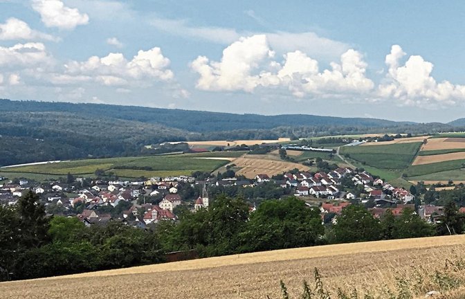 Ländliche Idylle? Die Begründer des Arbeitskreises Biodiversität sehen das ökologische Gleichgewicht auch in Eberdingen in Gefahr.  Foto: p