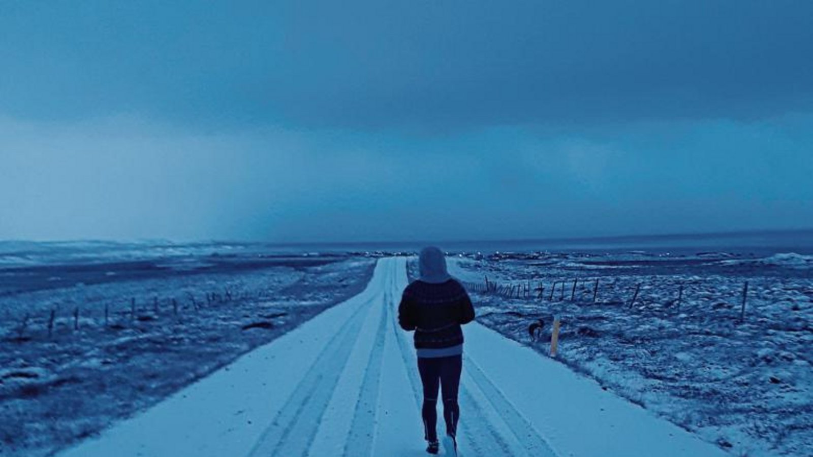 Sogar im Nordwesten Islands beteiligten sich vier Sportler am virtuellen 22. Bönnigheimer Stromberglauf 2020. Sie liefen über schneebedeckte Pisten. Foto: privat