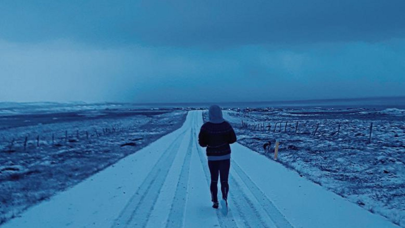 Sogar im Nordwesten Islands beteiligten sich vier Sportler am virtuellen 22. Bönnigheimer Stromberglauf 2020. Sie liefen über schneebedeckte Pisten. Foto: privat
