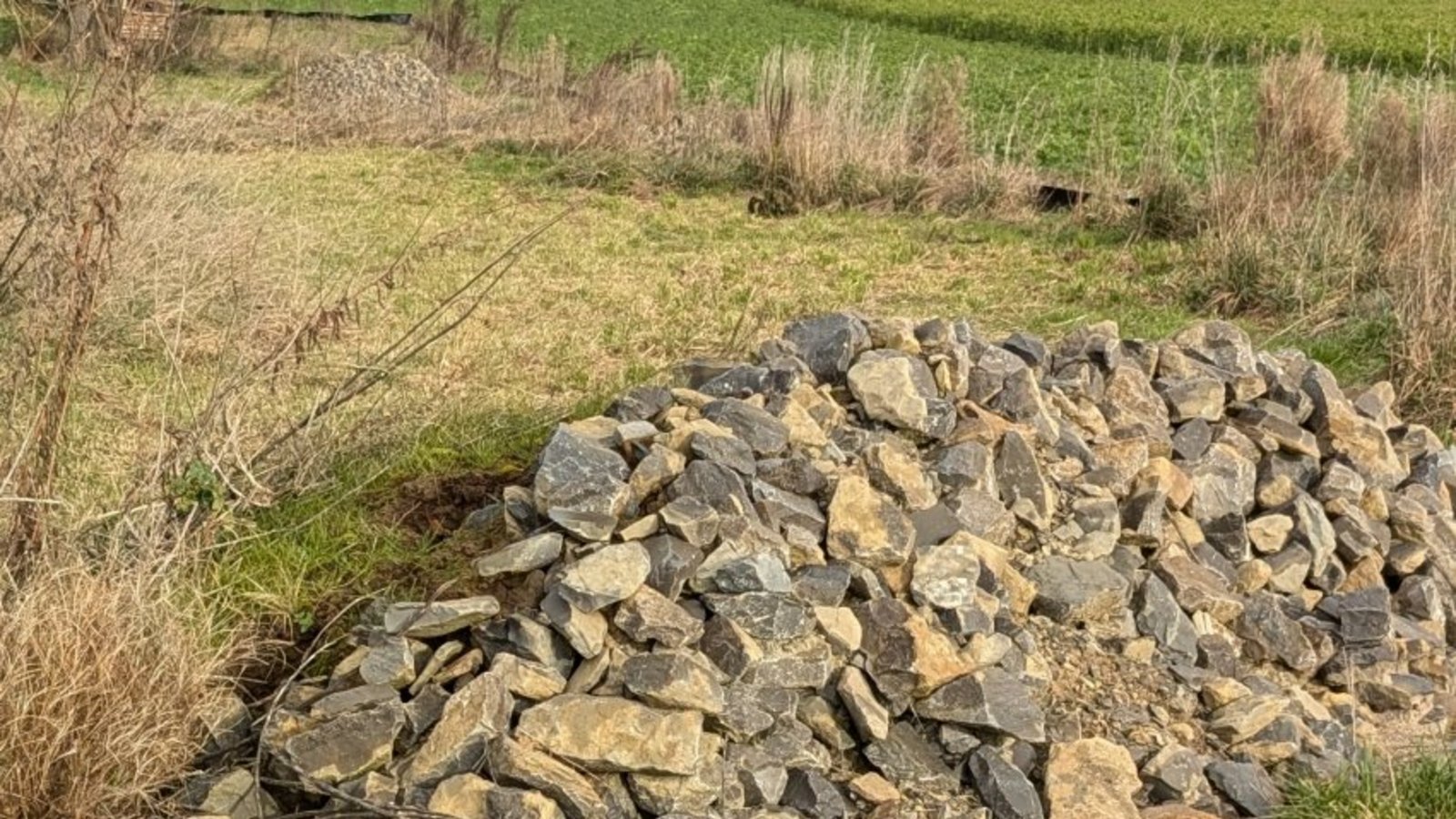 stadt mühlacker