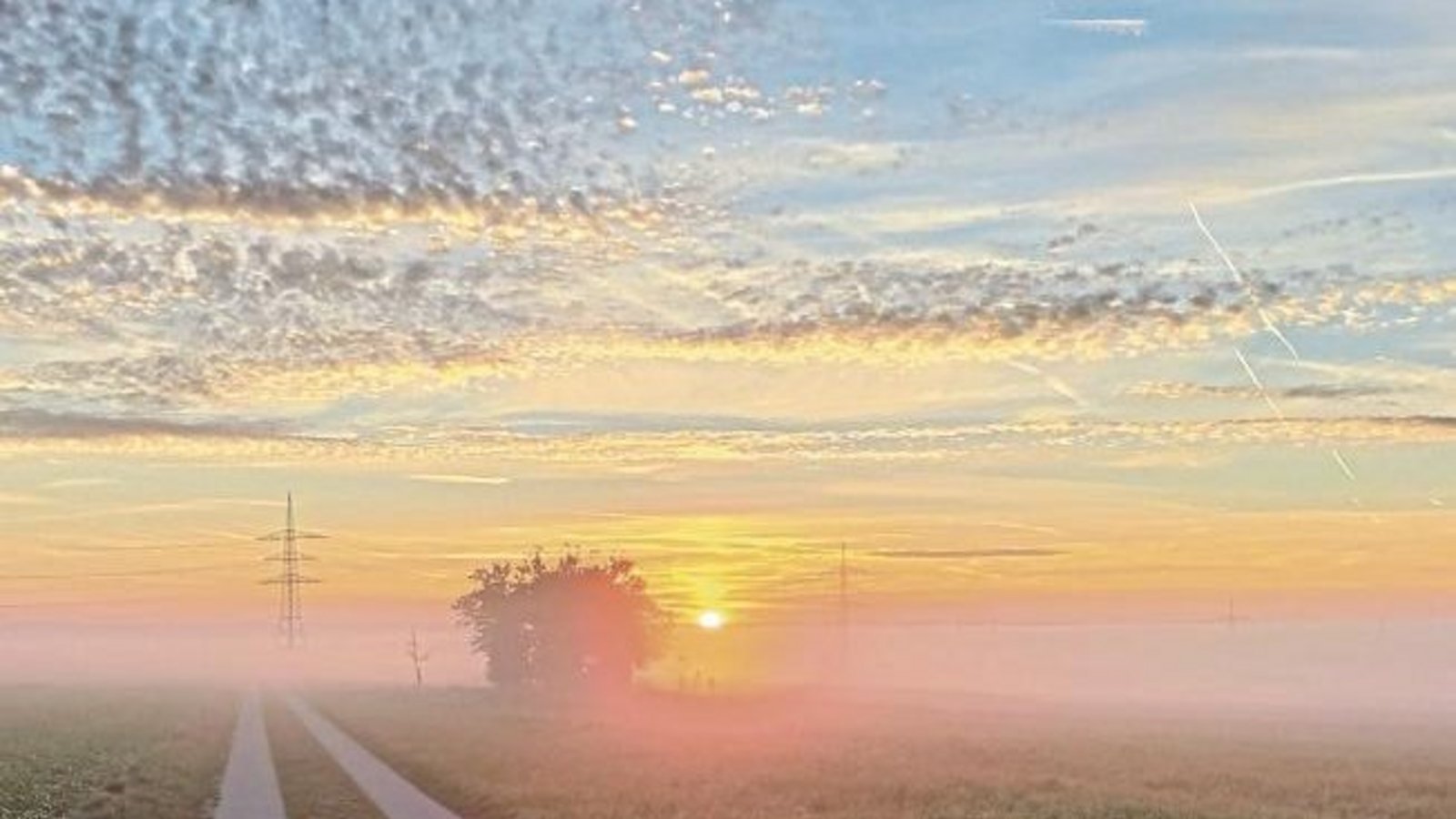Inspiriert von den Bildern in der VKZ schickt Barbara Hangstörfer ihr Foto vom Weitfeld in Vaihingen mit leichtem Nebel. Inspiriert von den Bildern in der VKZ schickt Barbara Hangstörfer ihr Foto vom Weitfeld in Vaihingen mit leichtem Nebel.
