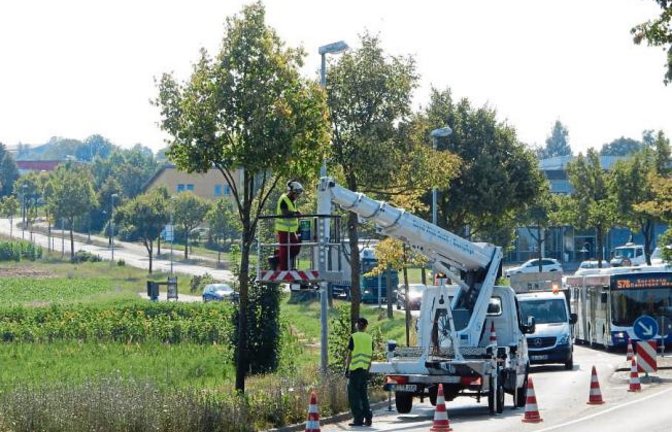 Baumpfleger in der Neuen Bahnhofstraße von Vaihingen bei der Arbeit. Die unteren Äste werden abgenommen.  Foto: Arning