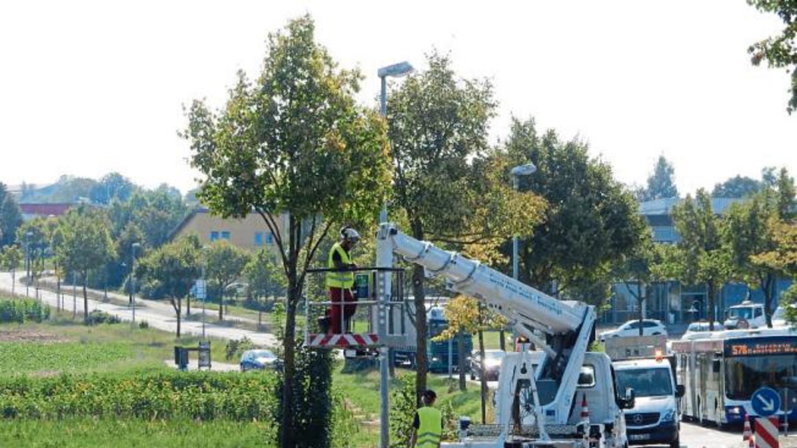 Baumpfleger in der Neuen Bahnhofstraße von Vaihingen bei der Arbeit. Die unteren Äste werden abgenommen. Foto: Arning Baumpfleger in der Neuen Bahnhofstraße von Vaihingen bei der Arbeit. Die unteren Äste werden abgenommen. Foto: Arning