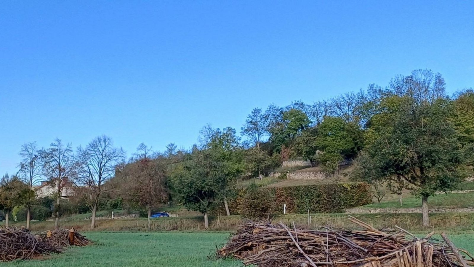 Hier sollen die Zauneidechsen eine Ersatzheimat finden. Foto: Rücker Hier sollen die Zauneidechsen eine Ersatzheimat finden. Foto: Rücker