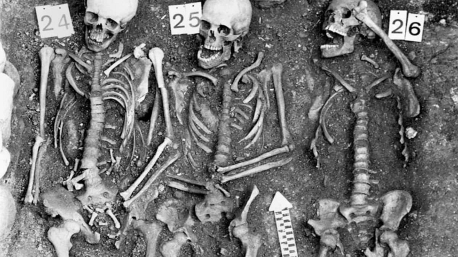 Gemeinschaftsgrab von Pestopfern auf dem Friedhof Sogn Pieder in Domat/Ems in der Schweiz. Die Bestattung wird mit einer Pestepidemie während des Dreißigjährigen Krieges um 1629 bis 1631 in Verbindung gebracht. Aus den Überresten von Individuum 24 konnte das vollständige Genom von Yersinia pestis rekonstruiert werden© Archaeological Service of the Canton of Grisons